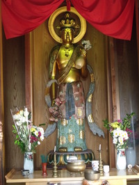 金立