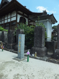金立