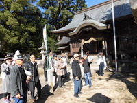 金立