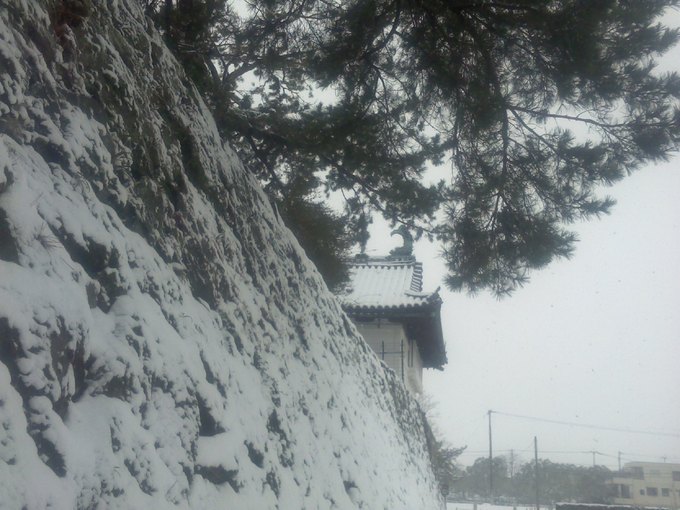 大雪の鯱の門.JPG