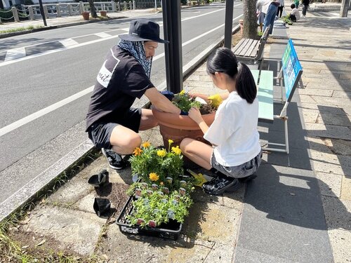 赤松