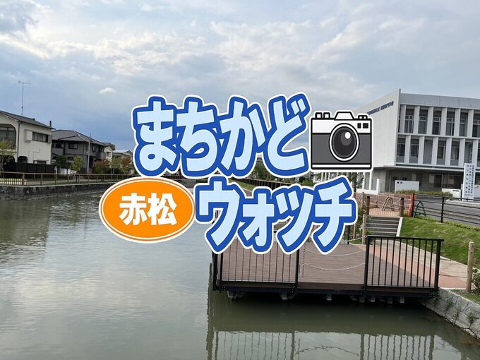 赤松
