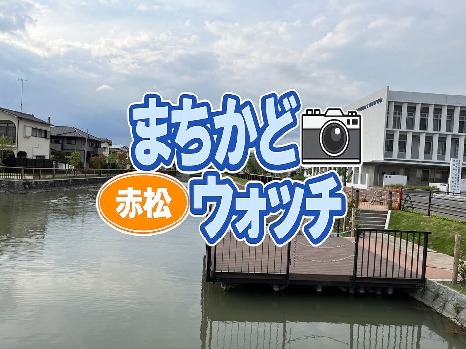 赤松