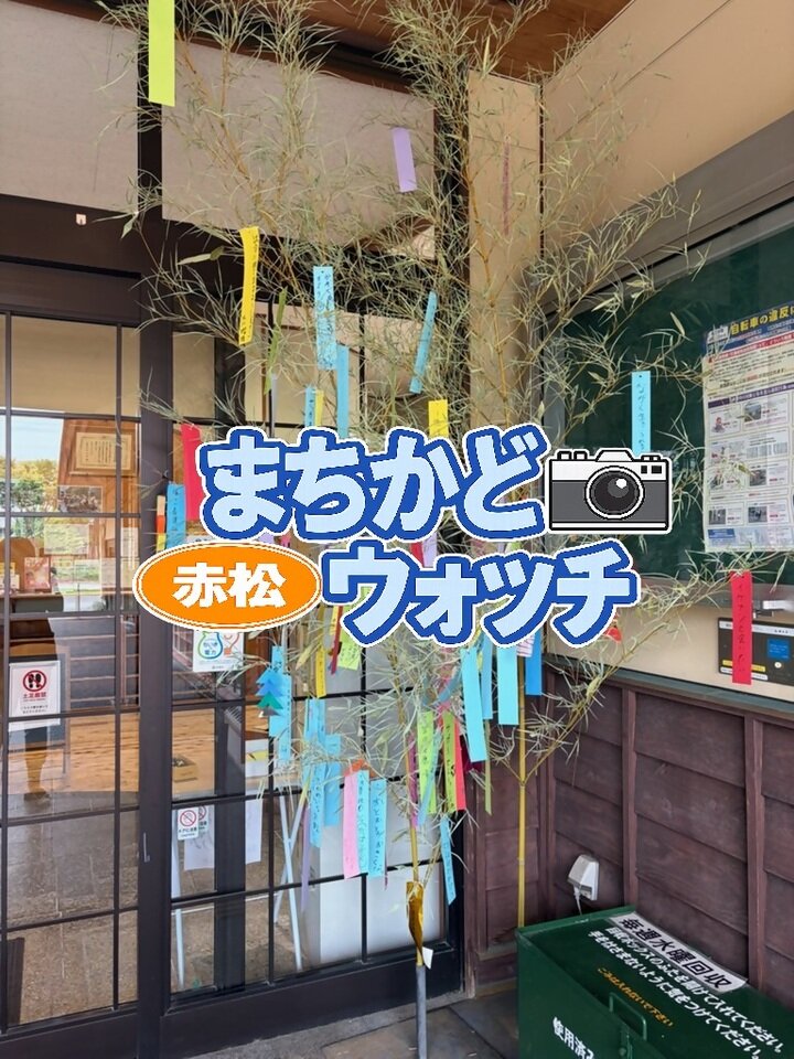 赤松
