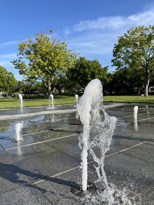 20260805145621-fd0ca2a69ddc29e2e6098aa334cf9008bf1cf6af.jpg