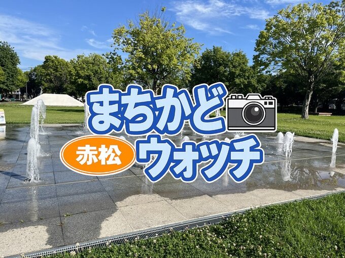 赤松