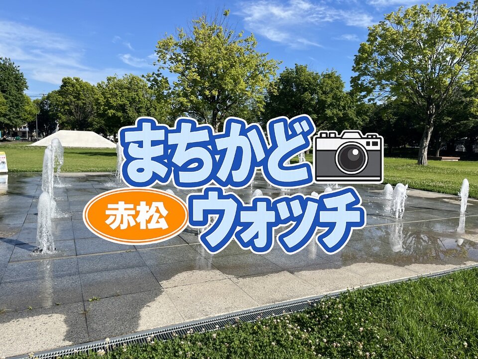 赤松