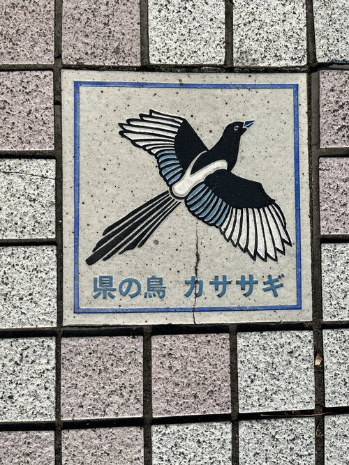 20260909140400-fc73497a39676494b0d61aac21c8d45b0583daa7.jpg