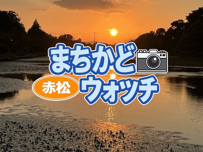 赤松