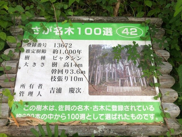 ビャクシンカンバン