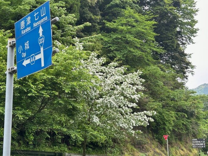 国道323号県道44号.jpg