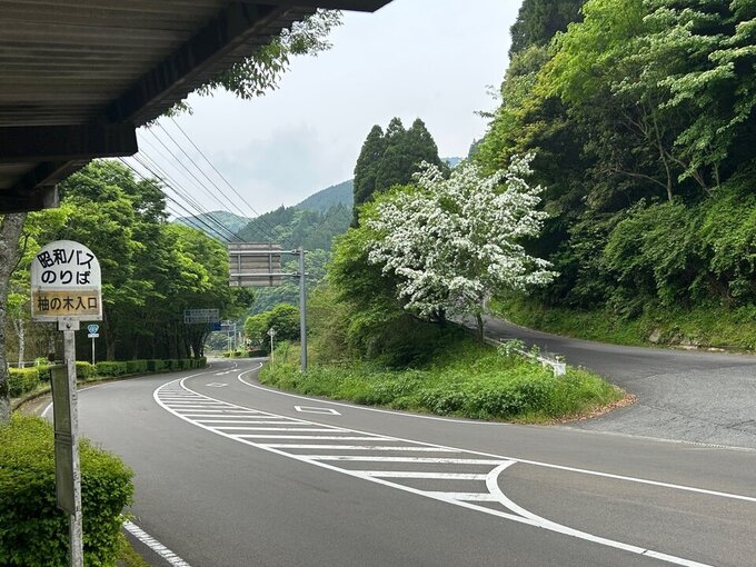 柚木入口.jpg