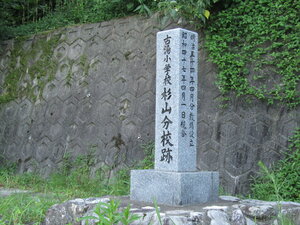 20250805150527-0d18ab5d5c6f400590a3af634acf819c54eea1de.jpg