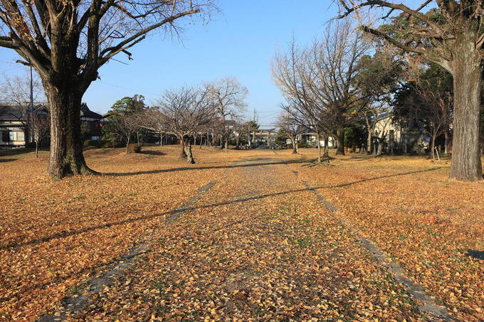 蓮池