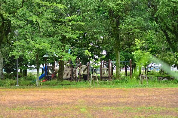 鬱蒼とした子供遊園地