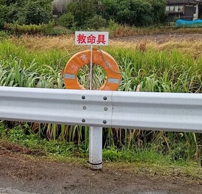 蓮池