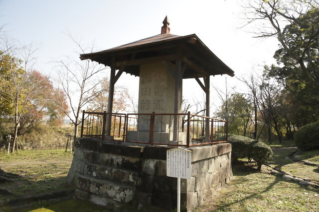 蓮池