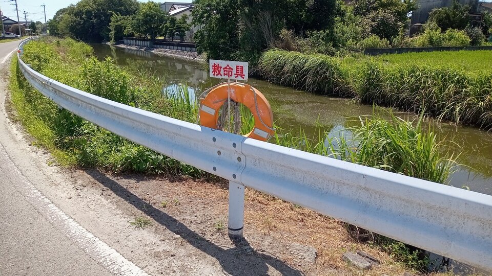 蓮池