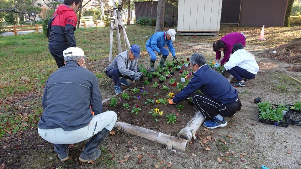 2018hanaue6