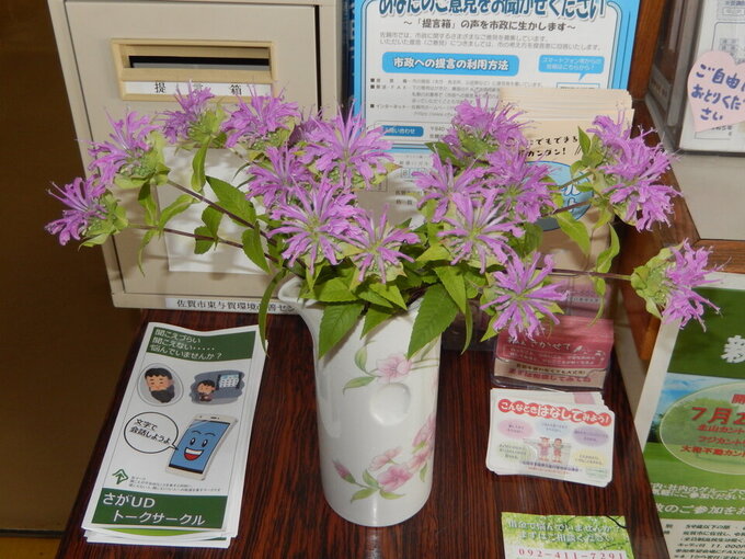 花1.jpg
