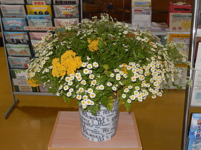 花2.jpg