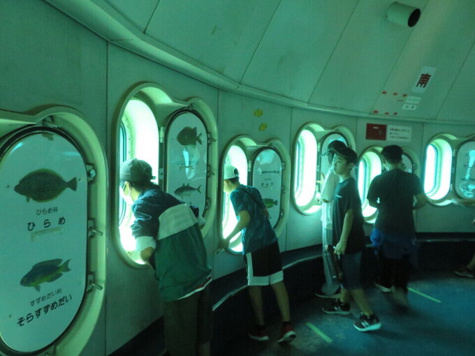 波戸岬15.jpg