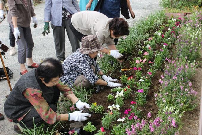 4290928花とみどりを楽しむ教室１.JPG