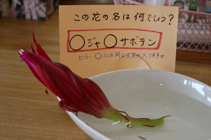 20250625105641-31fc016886e535a244f5fa5edea537ccc50ae703.jpg
