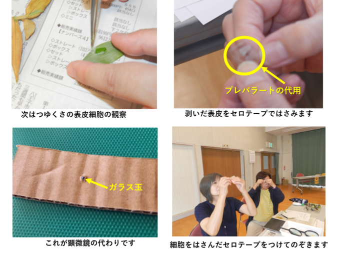 20230901120227-bc2dd8d87cb81418ed31a749e444b4ab5df703f2.png