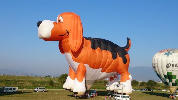 beagle