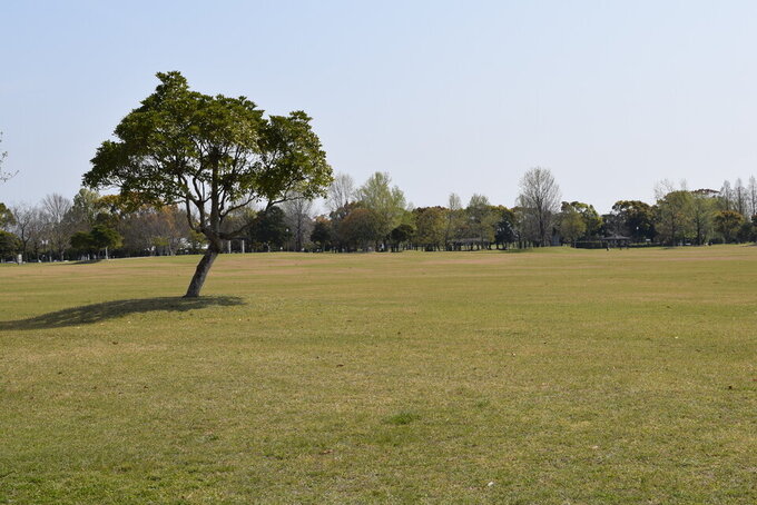 R4_4 森林公園(2).jpg