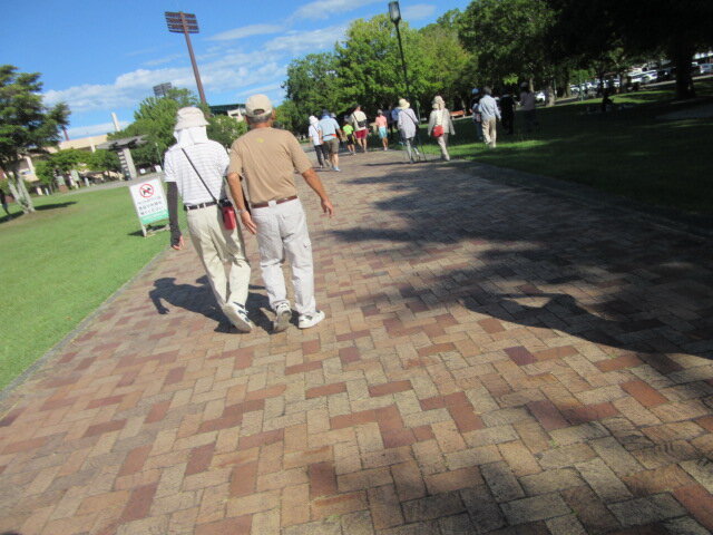 20250729150324-dc2b5906549ff514056cce492a321ec39dddfe83.jpg
