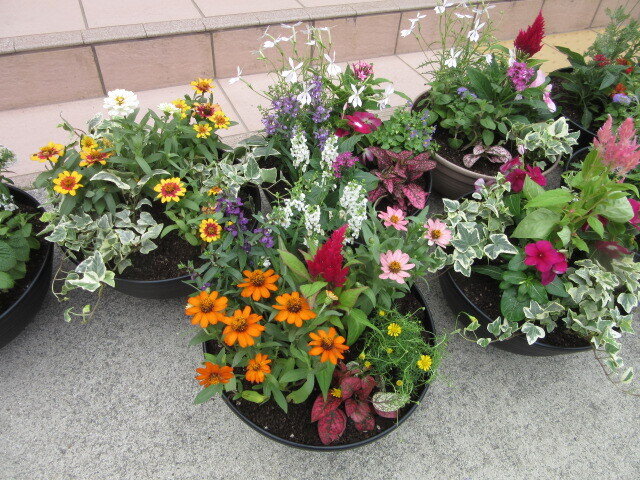 20260622142155-caaacc8cfb64ea56adf28e199cb38fdd8315403e.jpg