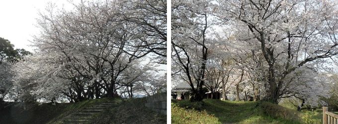 石井樋公園２.jpg