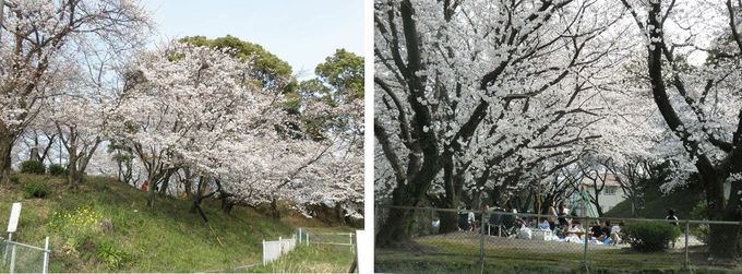 築山児童公園２.jpg