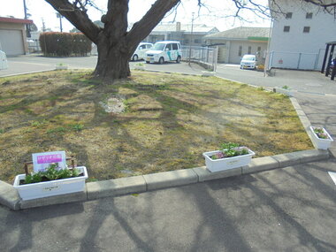 20230401175921-c53e2c4bdd595af1f703fe4a59b3e8cb4087ea0b.jpgのサムネイル画像