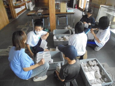 20251228213416-1160f946ab6d5a7310a65a2e544c9c8536996fd7.jpgのサムネイル画像