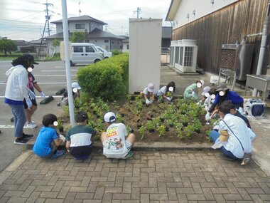 20260711105704-9c44c43585e034f4c41ea3ab62ec898ef41ae5d2.jpgのサムネイル画像