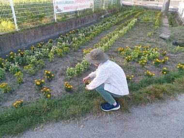 20260727195105-17b49c6b22f40afa67e8588066b4b96e14592f4e.jpgのサムネイル画像