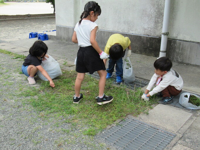 20250612110201-a86fcaf893ee6cfb9efda862b6a138baf6c36399.jpg