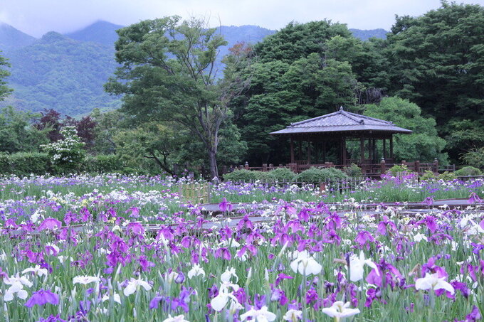 川上
