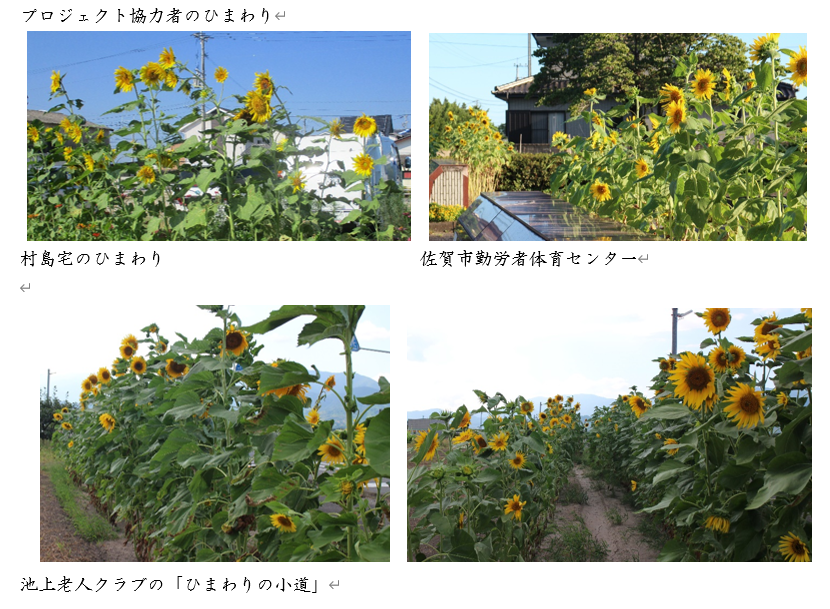 つながるさがし つながるさがし