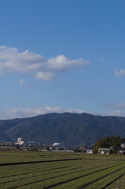 22：金立山.JPG