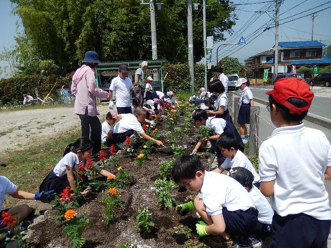 260539 夏の花苗植え (12).JPG