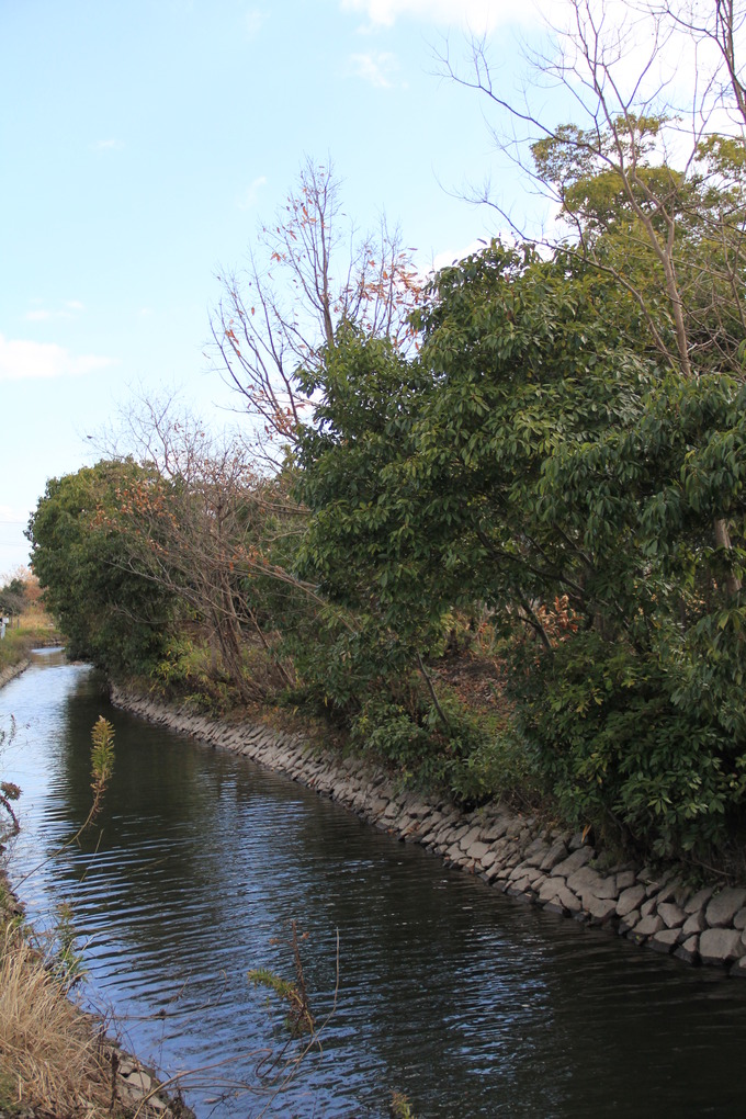 Yokodoi.JPG