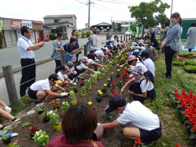 290526 夏の花苗植(9).JPG