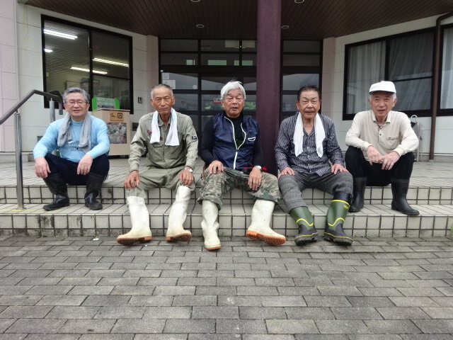 金立
