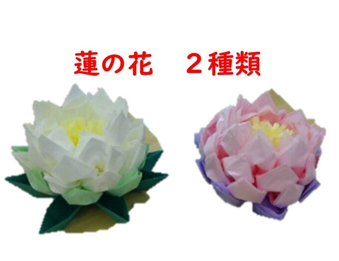 金立