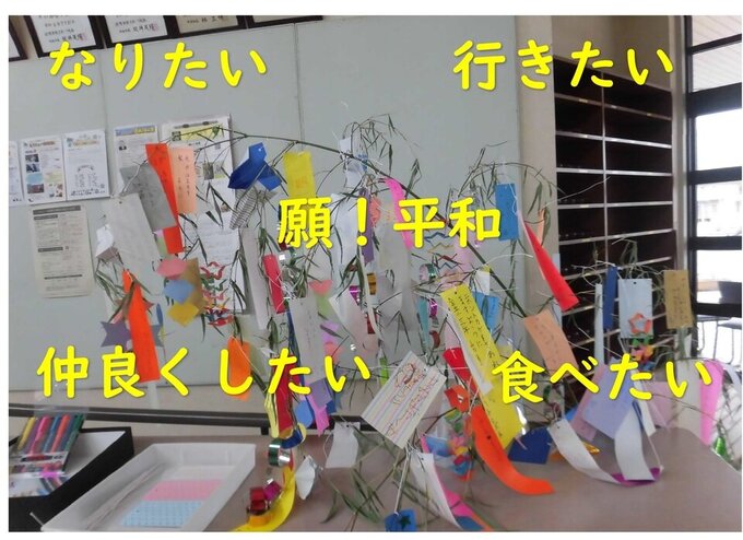 金立