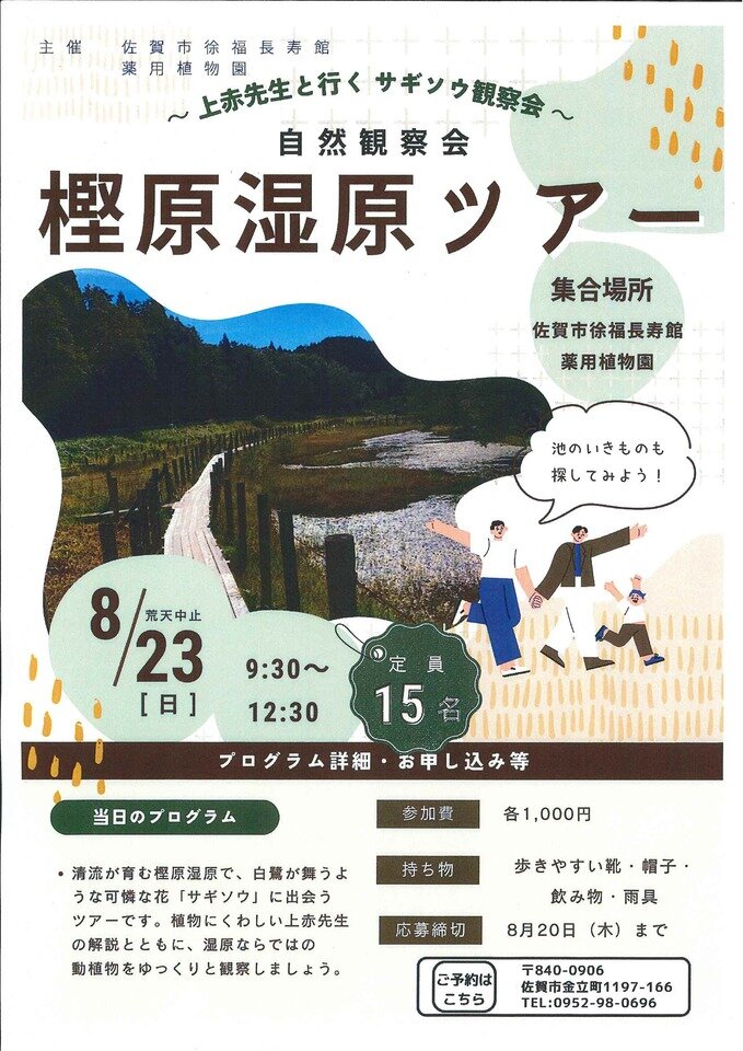 金立